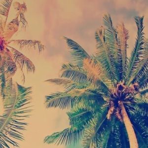 Meet your Posher, Riley